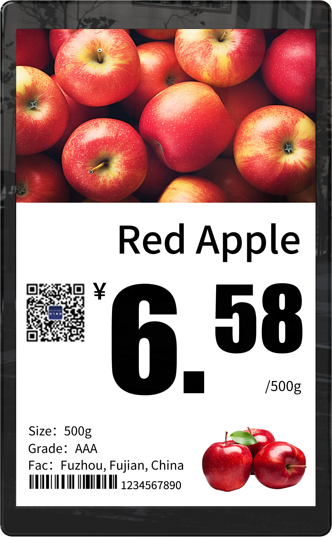 Single screen 10.1"