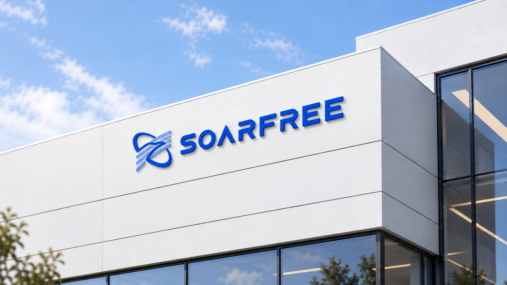 Company illustration from the SOARFREE website